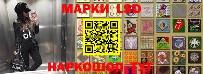a pvp Будённовск