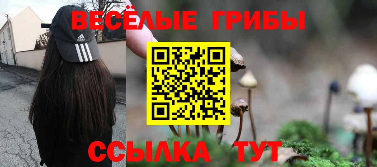 Псилоцибиновые грибы GOLDEN TEACHER  купить наркотики цена  Южноуральск  Вход с VPN  Псилоцибиновые грибы мицелий 